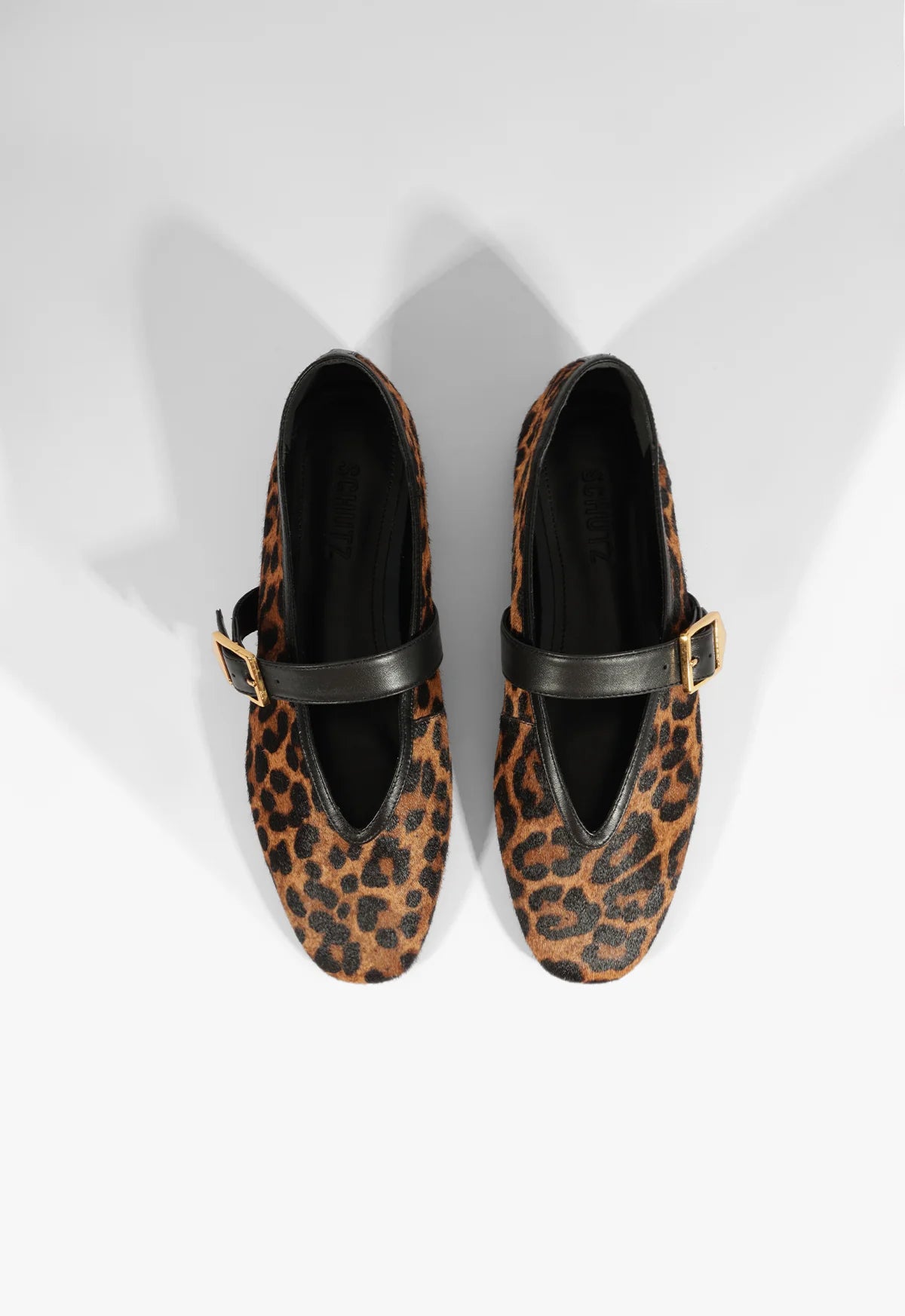 Courtney buckle hair calf flat - animal print