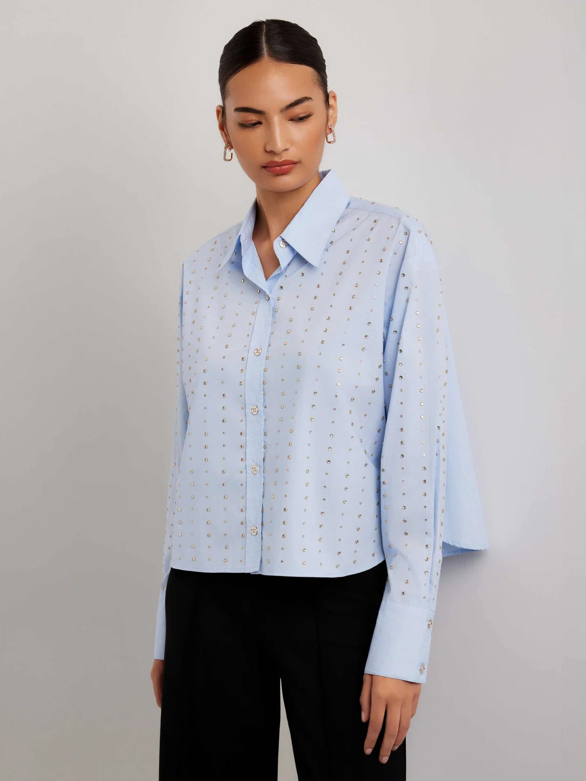 Fifteen Twenty - LISA EMBELLISHED BUTTON UP TOP